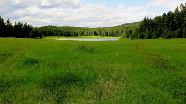 meadow forest lake pond field grass ch rs IMG_7928