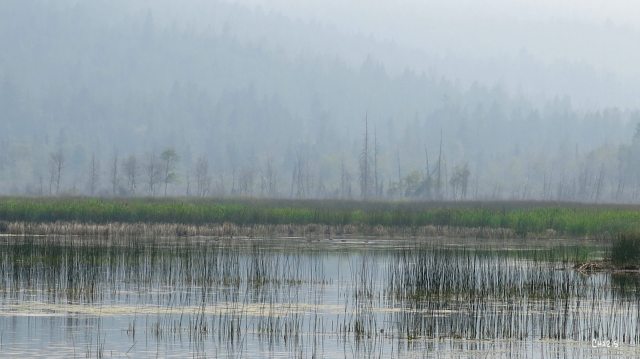 Liz lake smoke rs ch IMG_9137