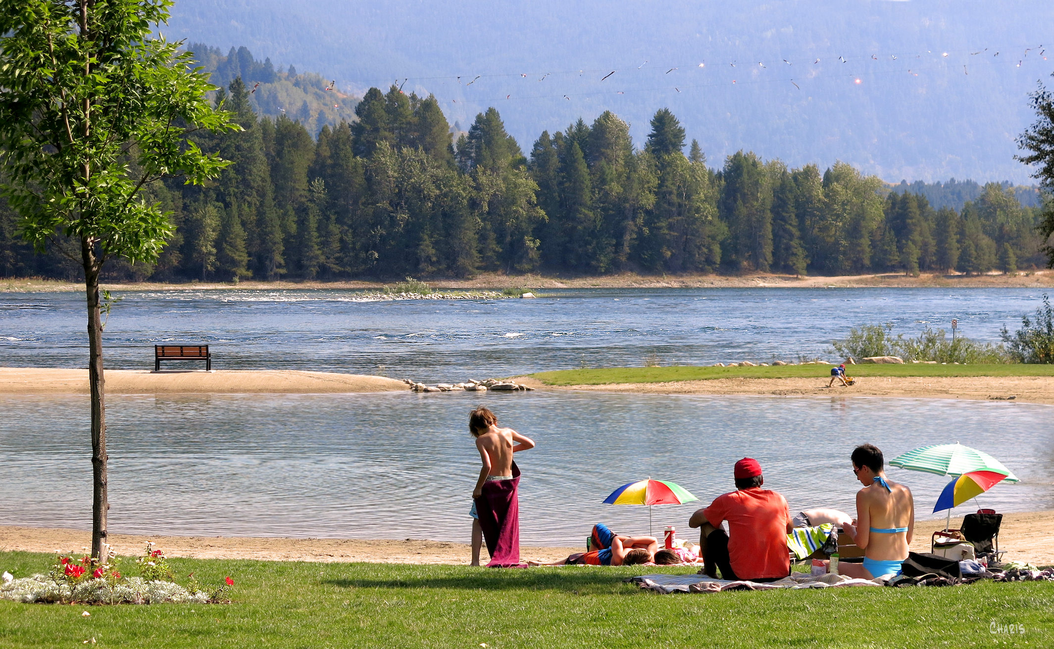 castlegar ponds 1 IMG_0061