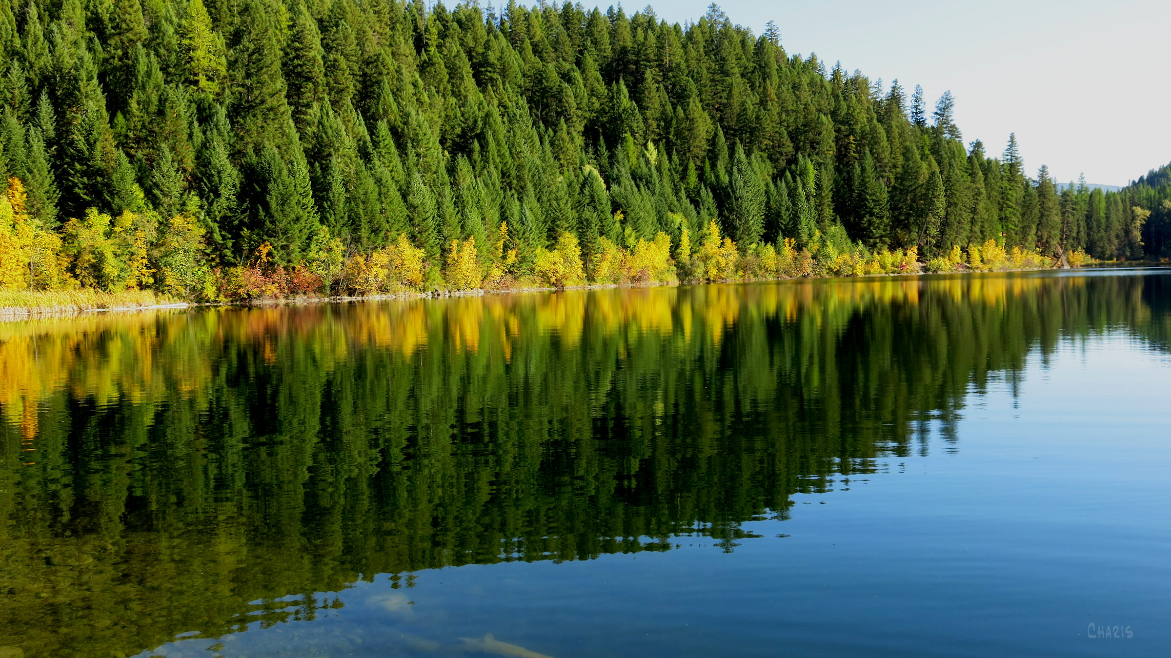 Mineral Lake autumn rs ch IMG_0508