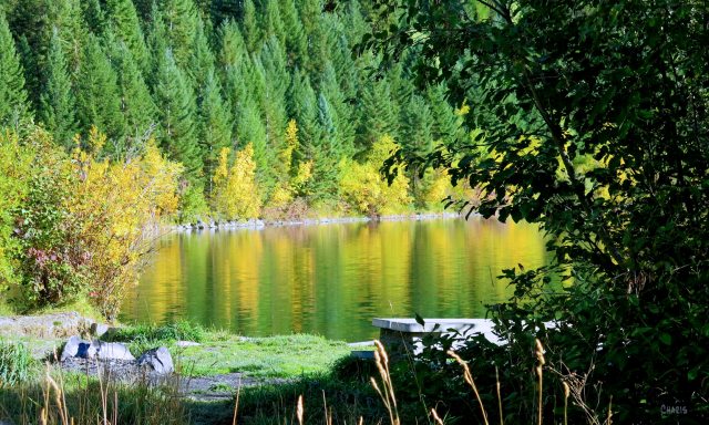 Mineral Lake autumn table IMG_0535