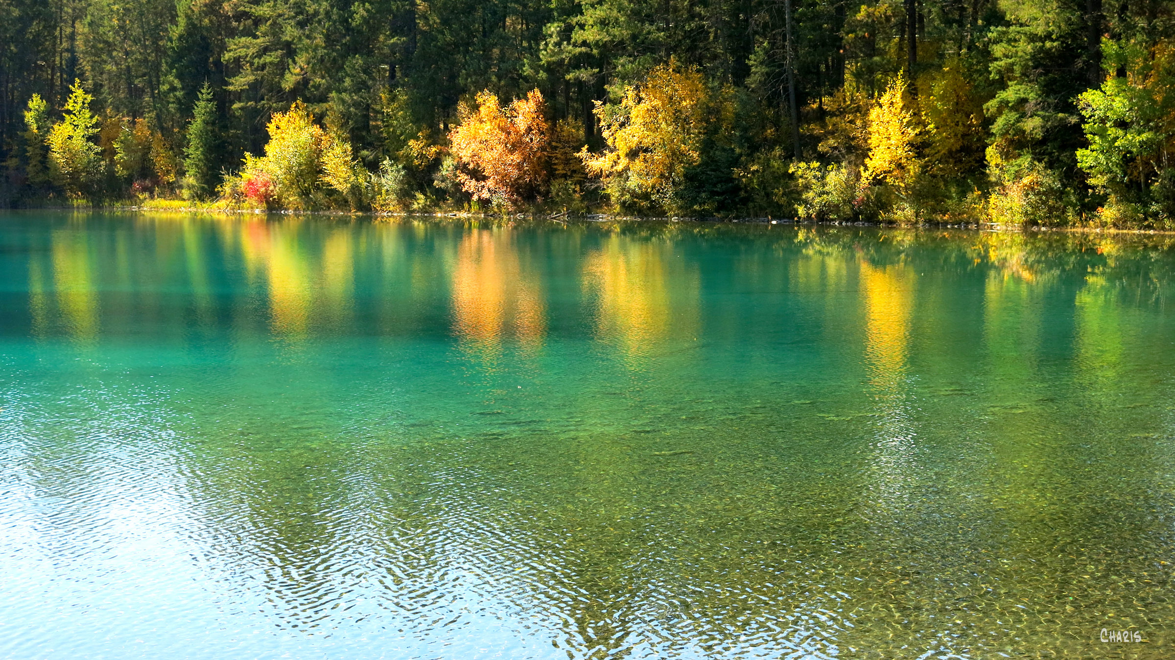 Norbury lake autumn ch rs IMG_0384
