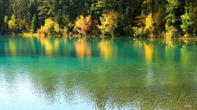 Norbury lake autumn ch rs IMG_0384
