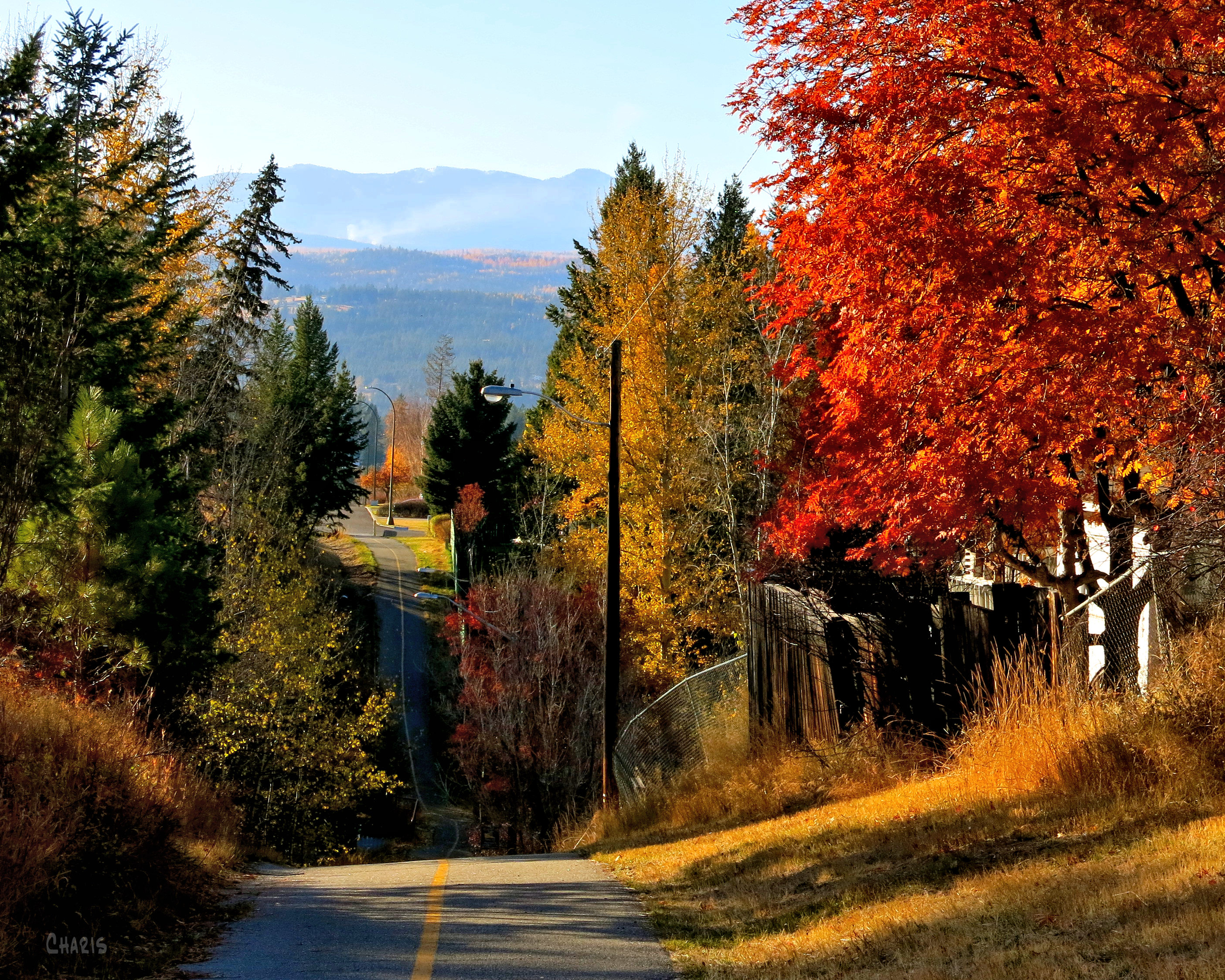 autumn bicycle path IMG_1951