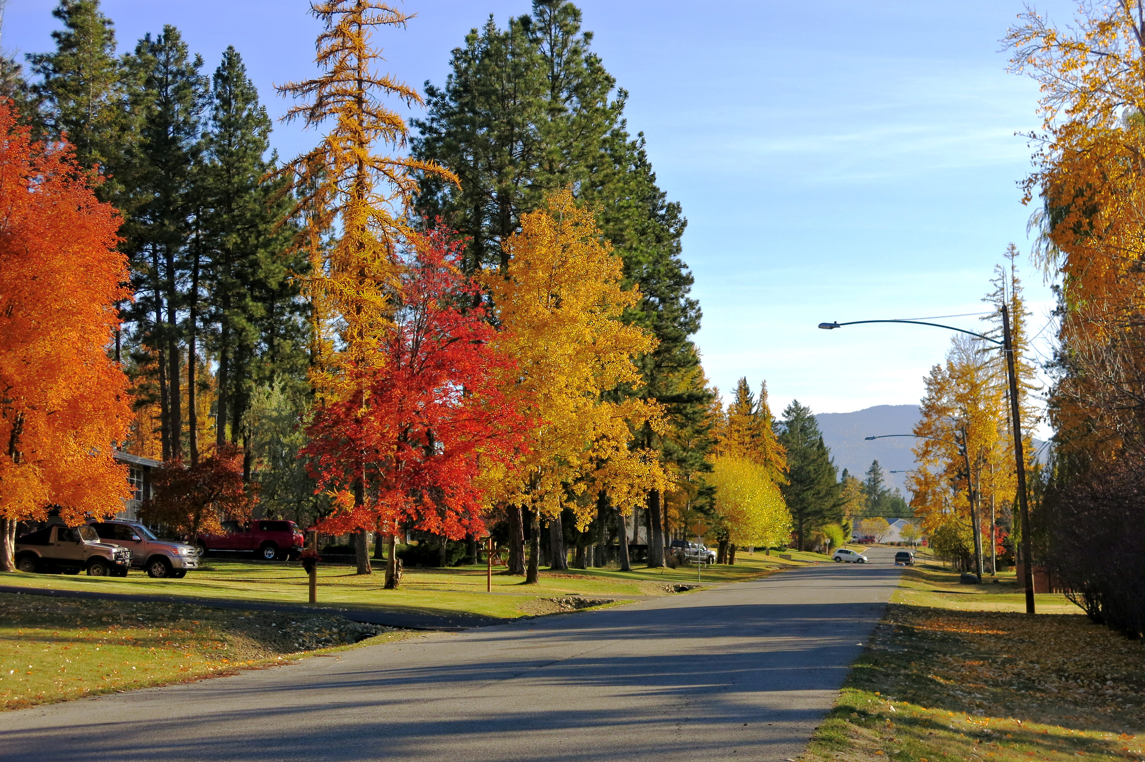 autumn cranbrook IMG_1915