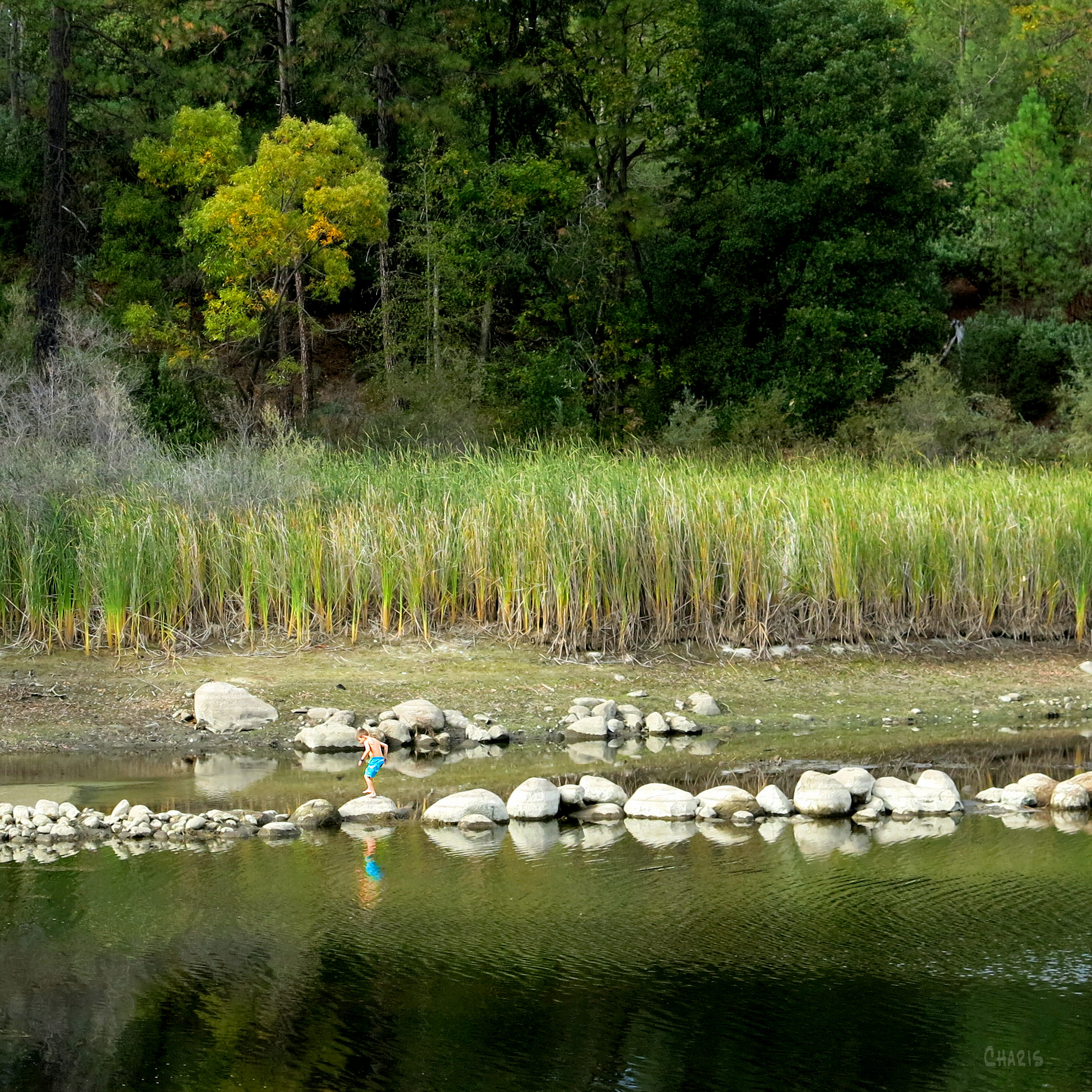 boy on rocks whiskeytown lake IMG_4963