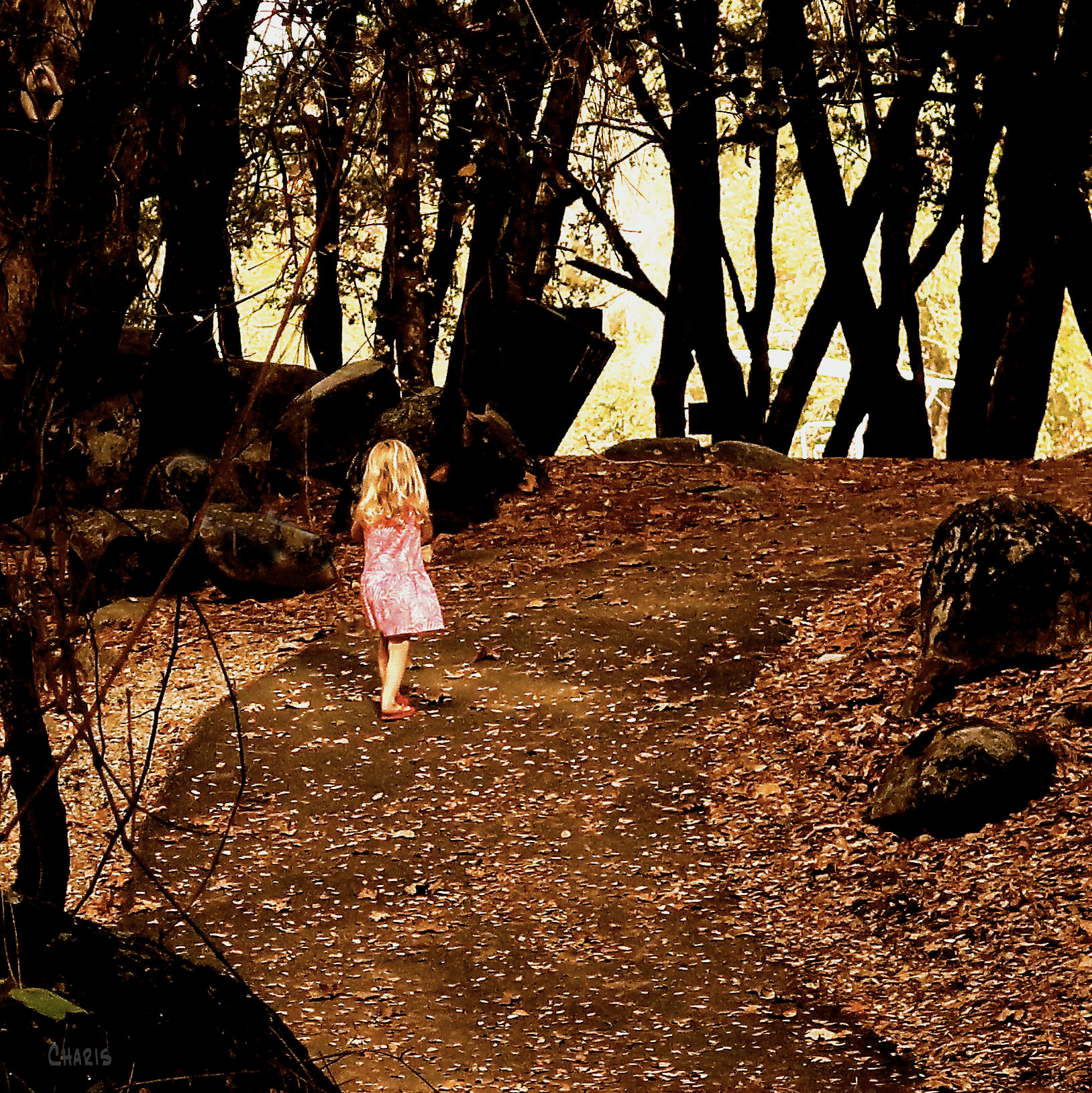 child in woods 2 IMG_4953