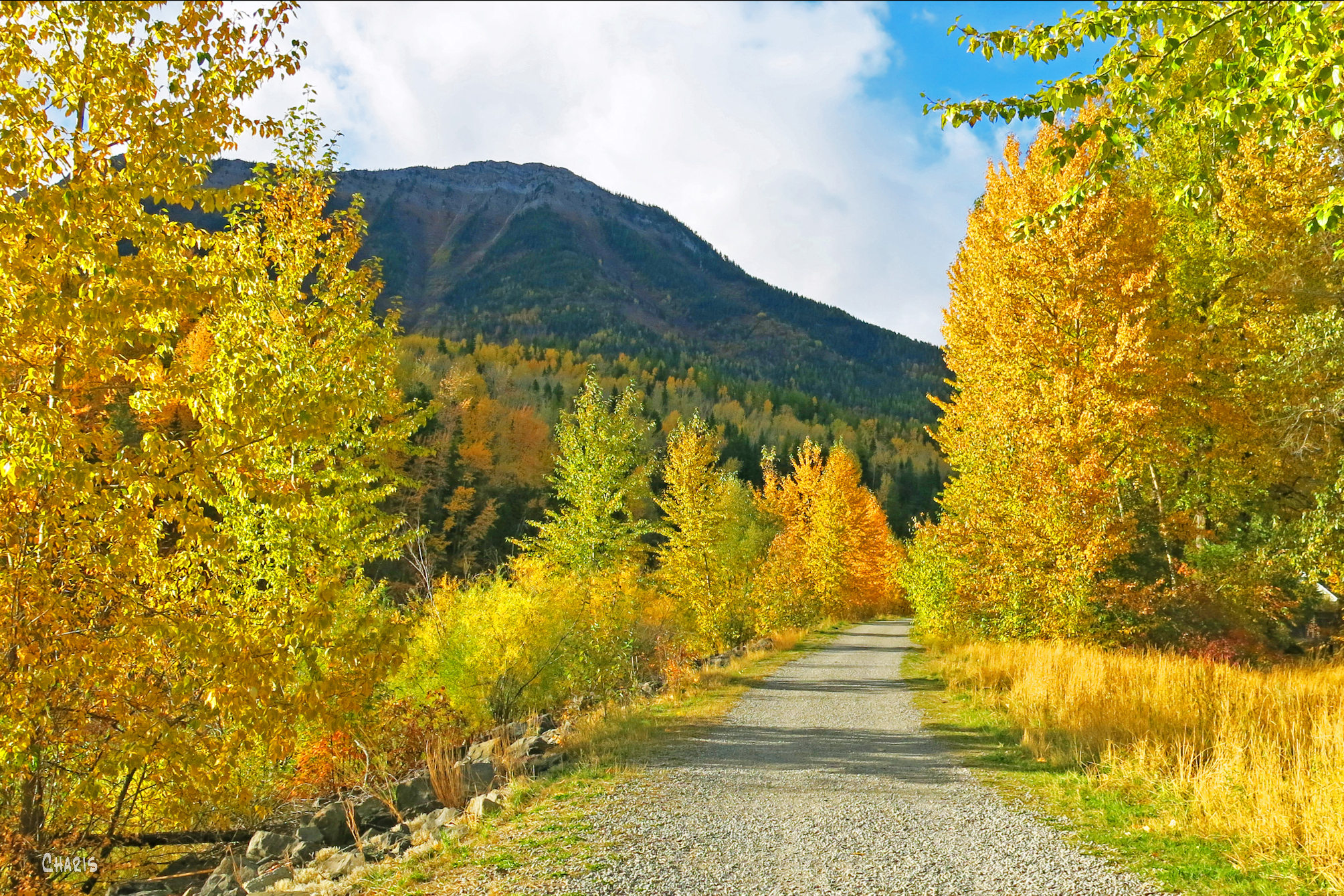 Fernie river walk ch rs IMG_1228