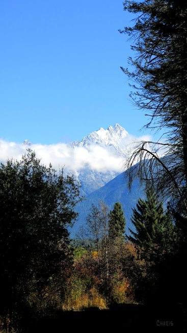 fisher autumn trail ch rs IMG_0671