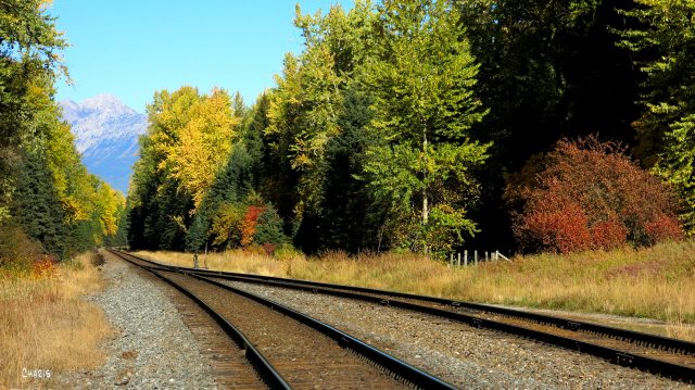 Morrisey autumn railroad track ch rs IMG_0862