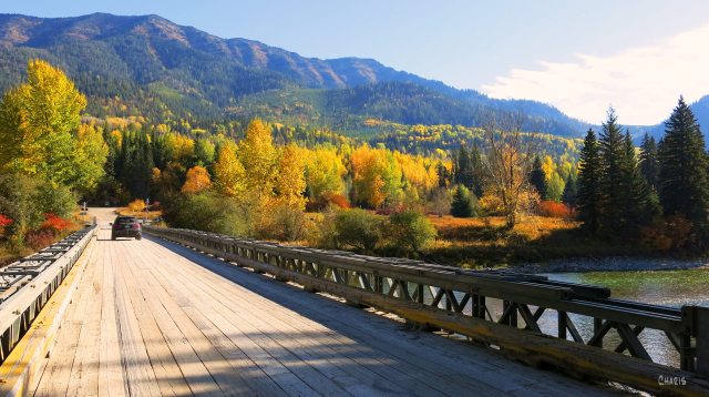 morrisey bridge autumn ch rs IMG_0882