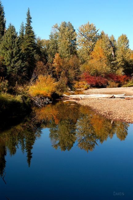 moyie river autumn ch rs DSC_0143 (2)