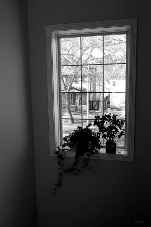 IMG_2011 window bw ch