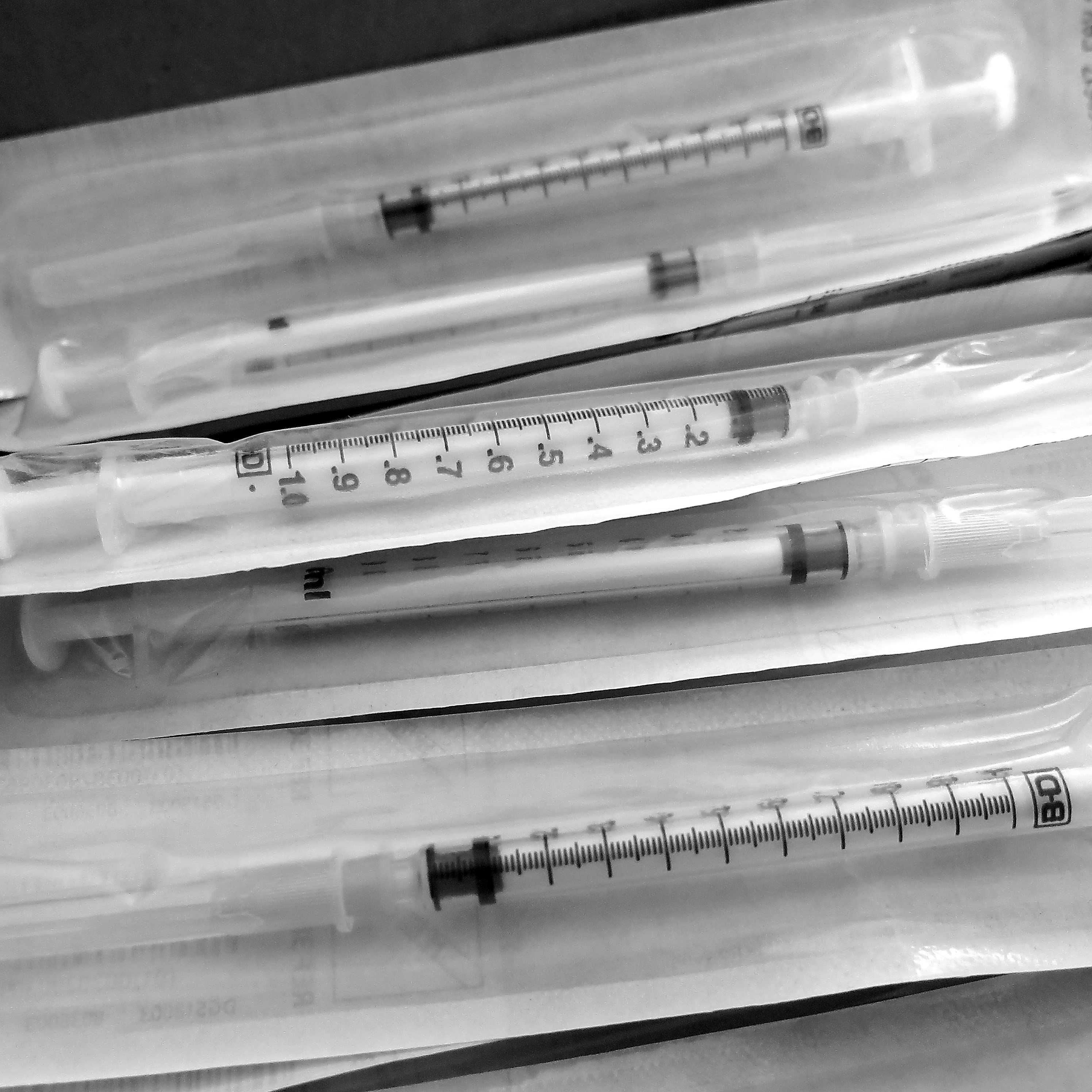 needles bw sq IMG_2059