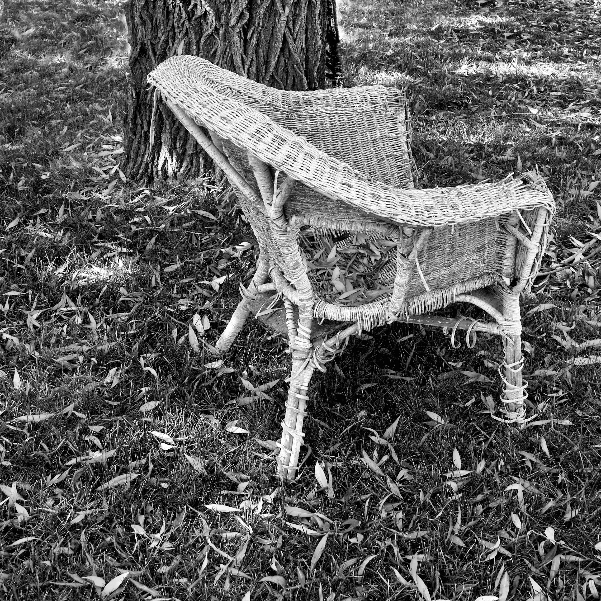 wicker chair unravelled IMG_5254