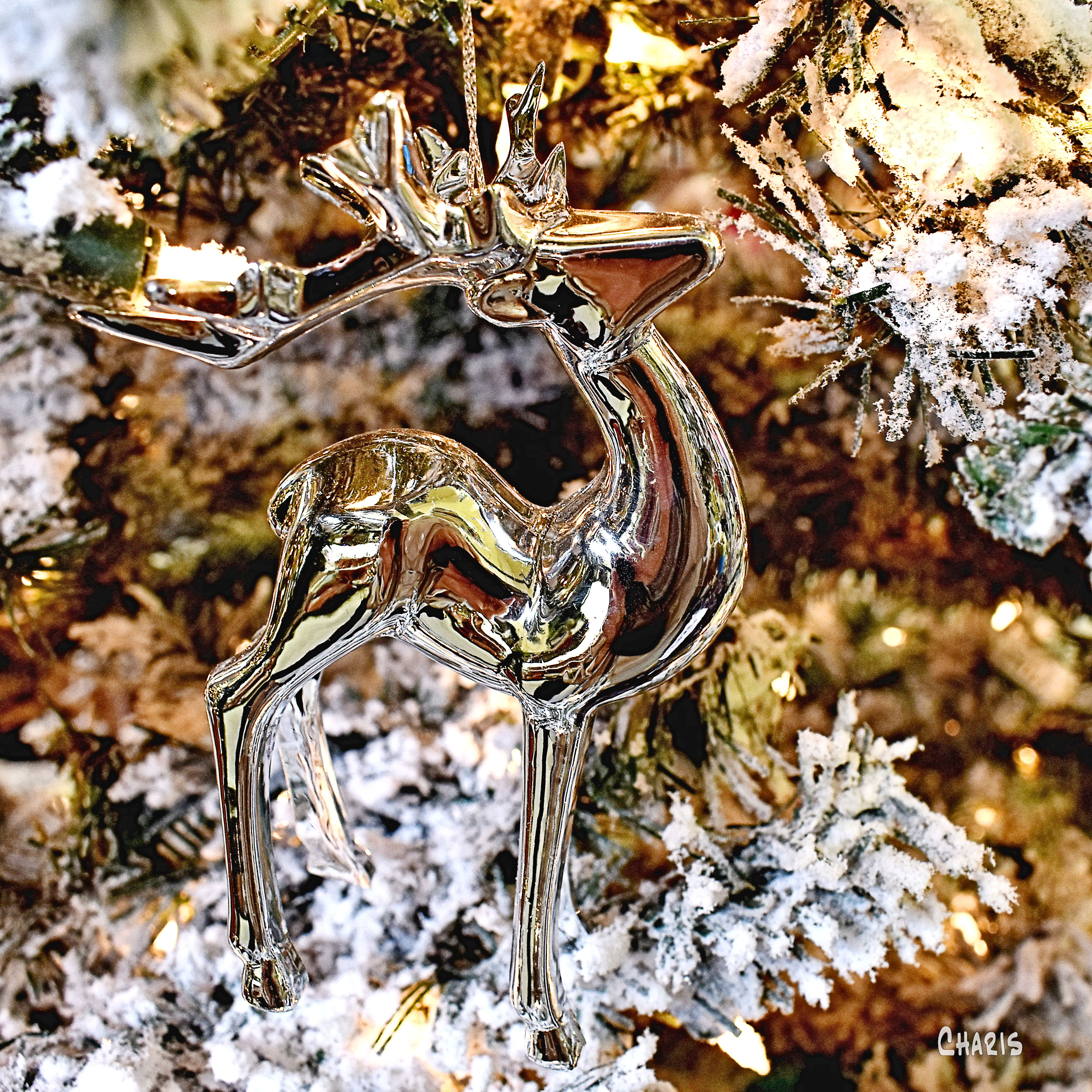 christmas tree ornament deer sq ch light DSC_0073 (1)