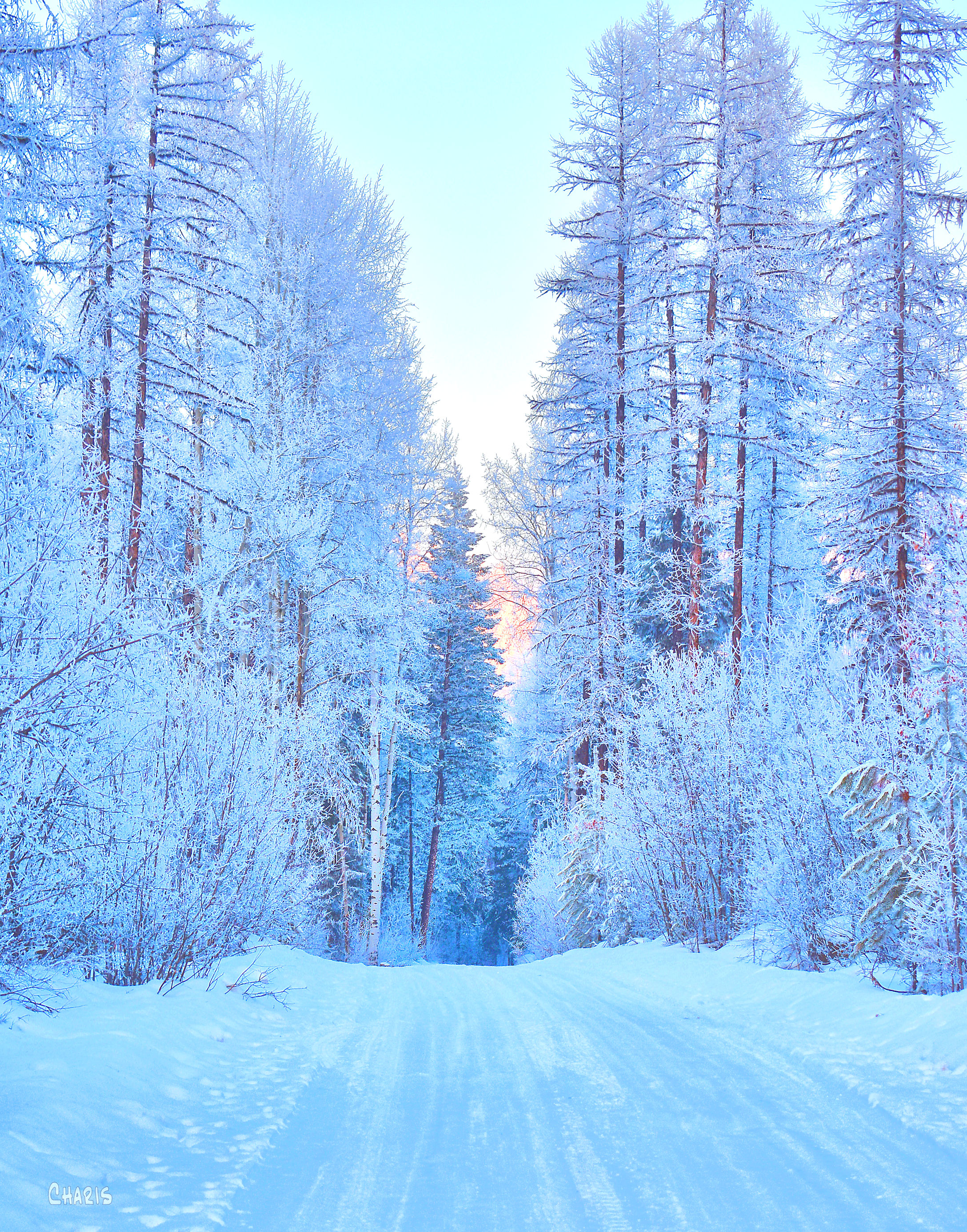 frost winter road ch rs DSC_0698 (1)