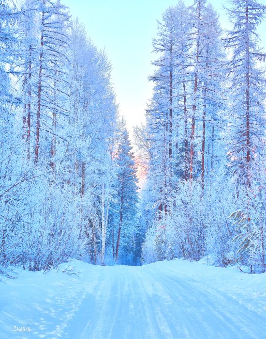 frost winter road ch rs DSC_0698 (1)