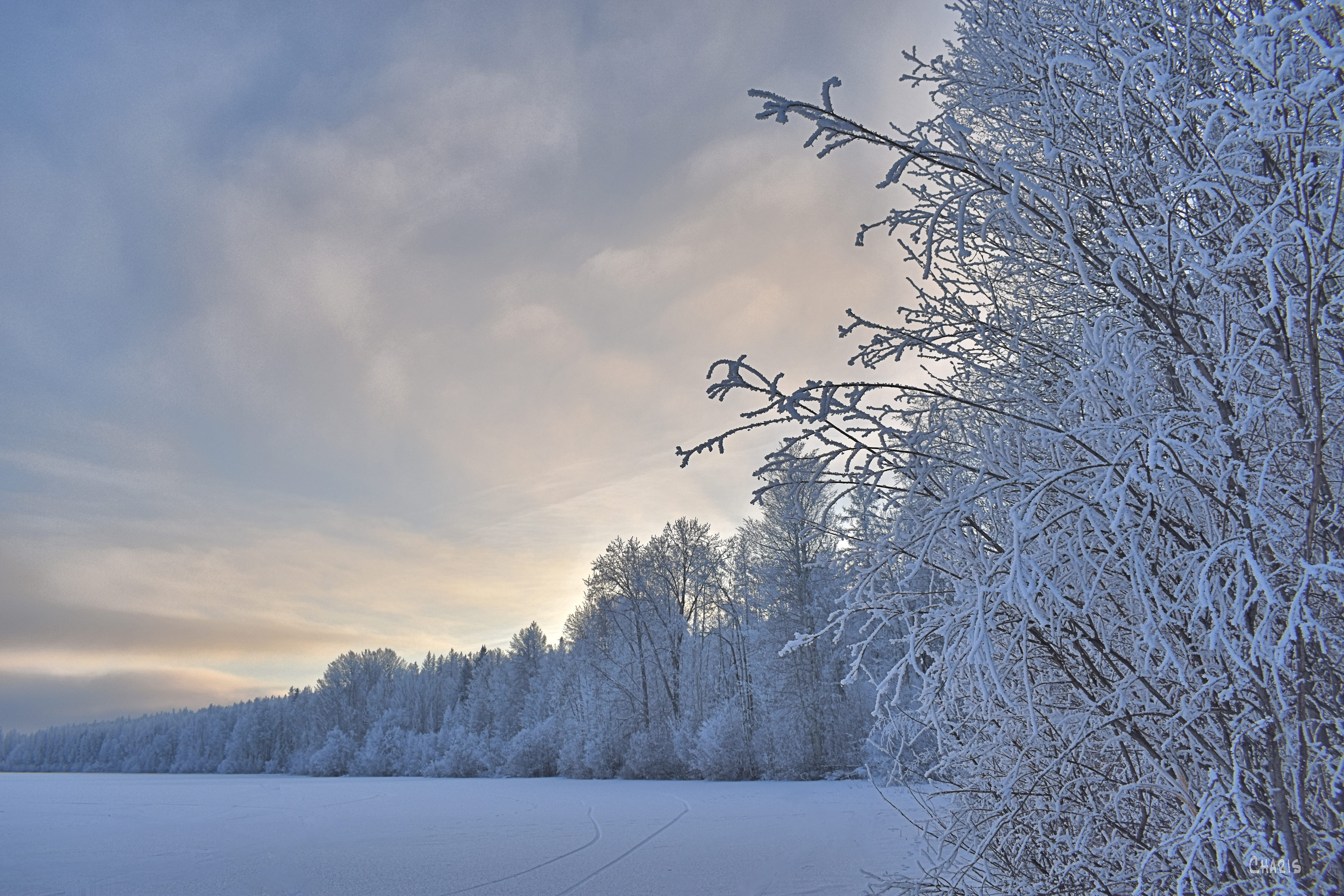 New Lak frost shoreline winter ch rs DSC_0591 (1)