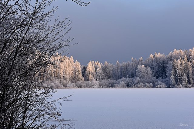 New Lake frost light winter ch rs DSC_0574 (1)