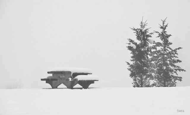 picnic table kin park bw ch IMG_2610