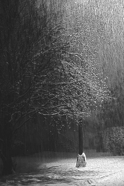 SNOW NIGHT LAMP POST ch rs IMG_2509