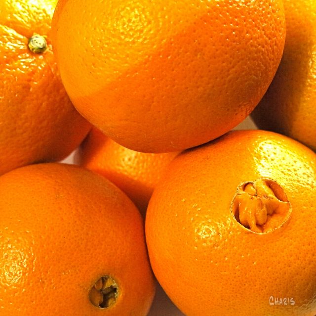 navel oranges IMG_2923