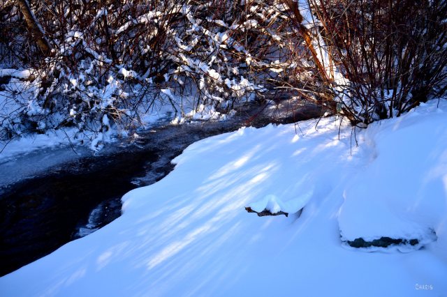 creek snow winterrs ch DSC_0069