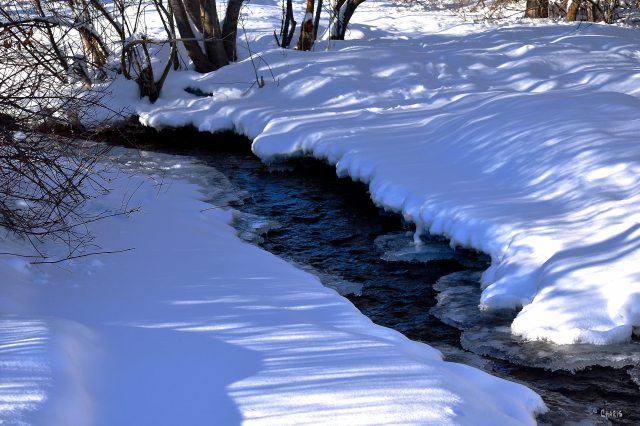 snow creek ch rs DSC_0026