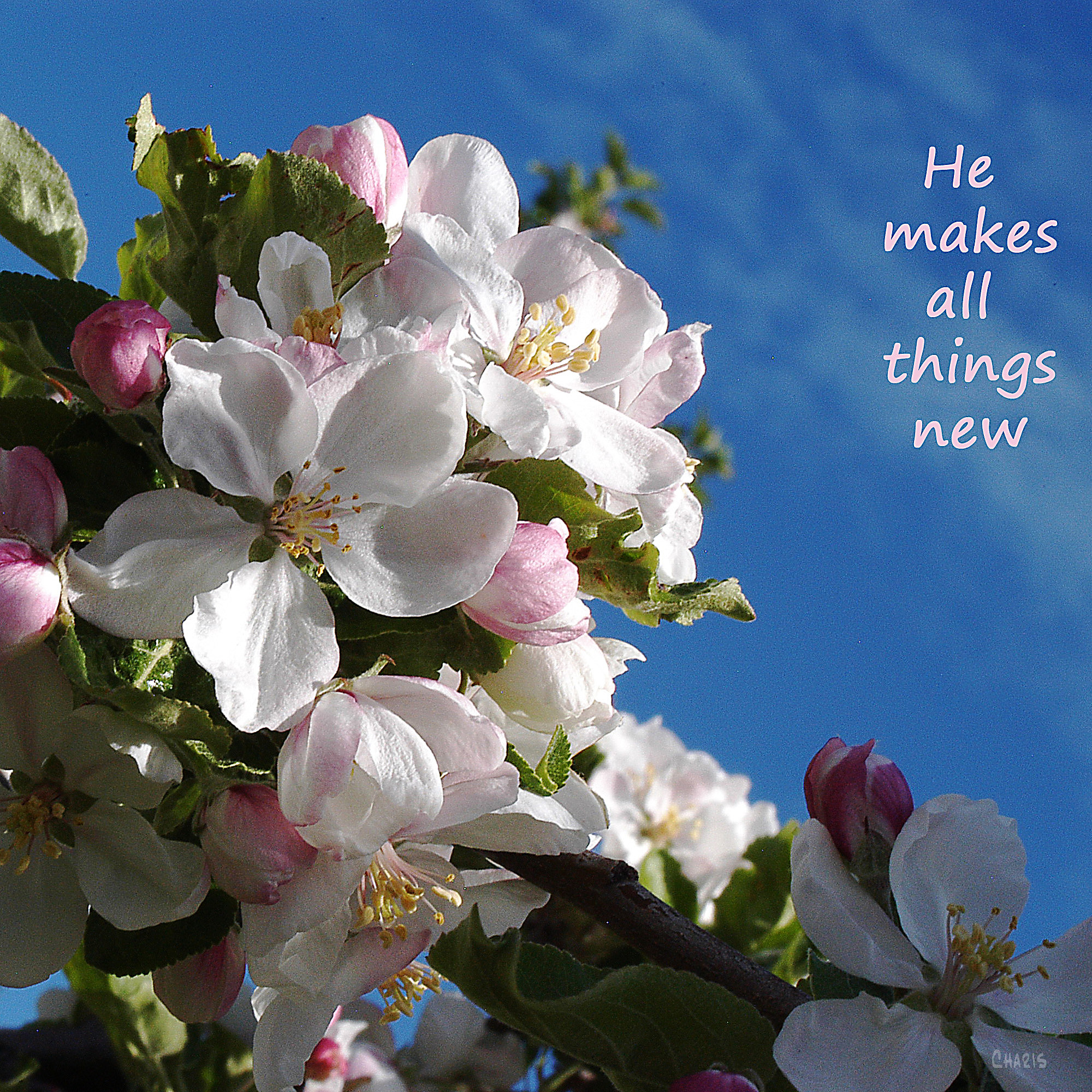 he makes all things new poster ch sq