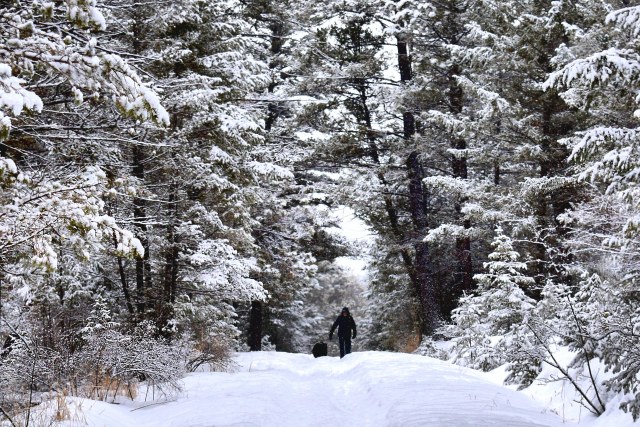 winter snow man walking dog forest DSC_0006