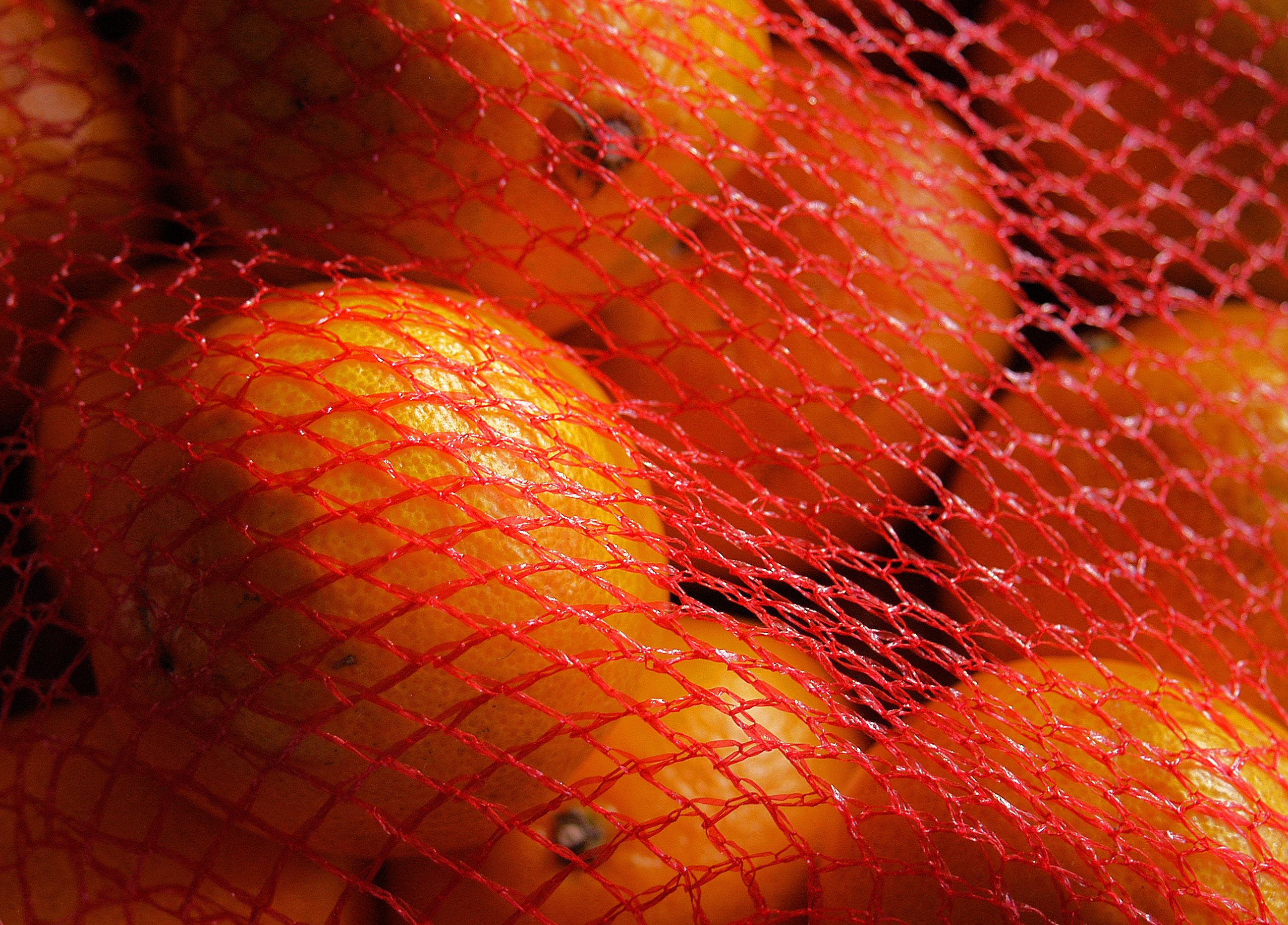 bag of oranges DSC_0081
