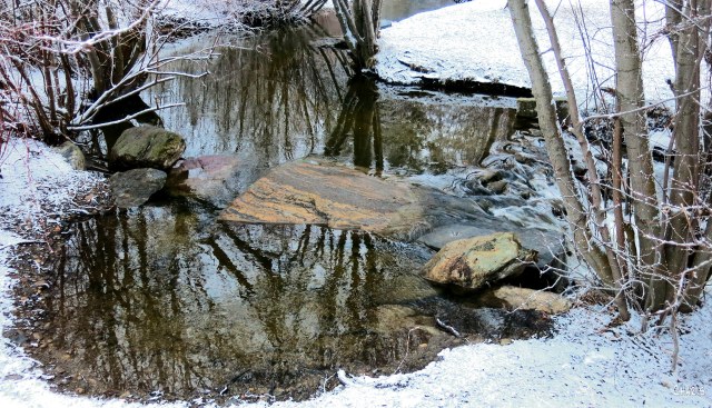 creek reflect winter ch rs IMG_3881