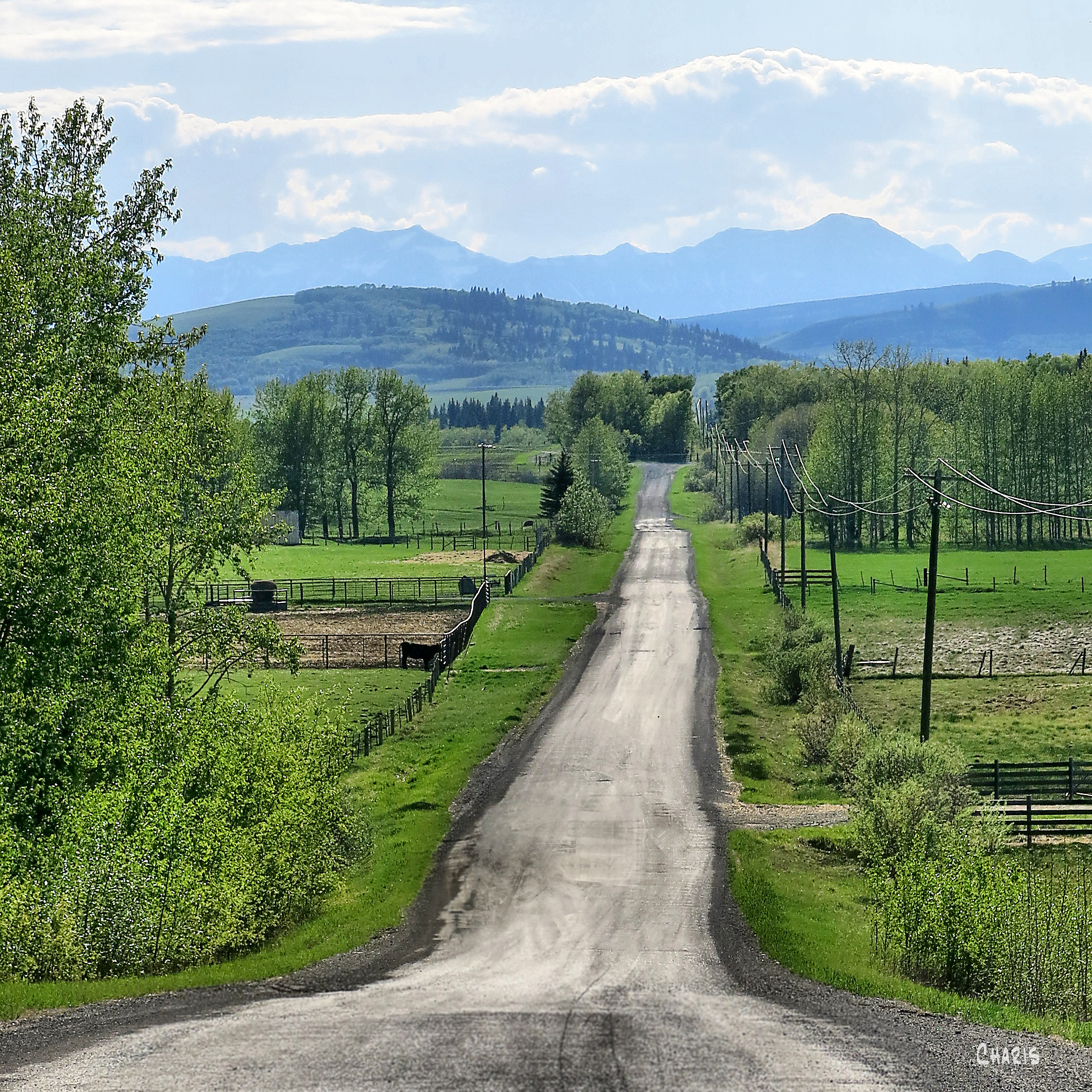 Turner Valley road mountains green ch sq IMG_4312