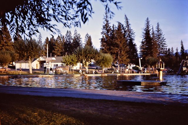 Cranbrook swimming pool slide PICT1389
