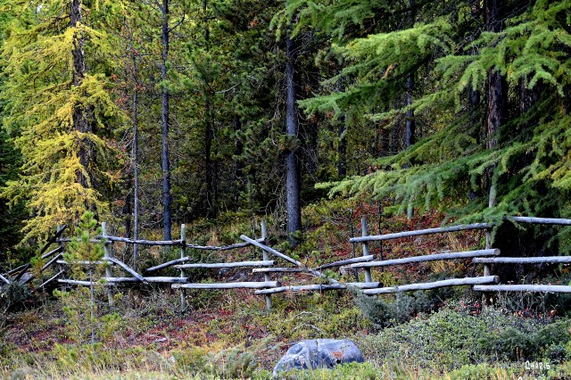 broken fence ch rs DSC_0235