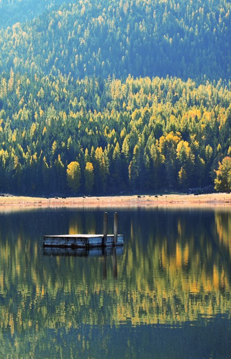 Mayook dock atutmn reflect vertical DSC_0006_edited-1