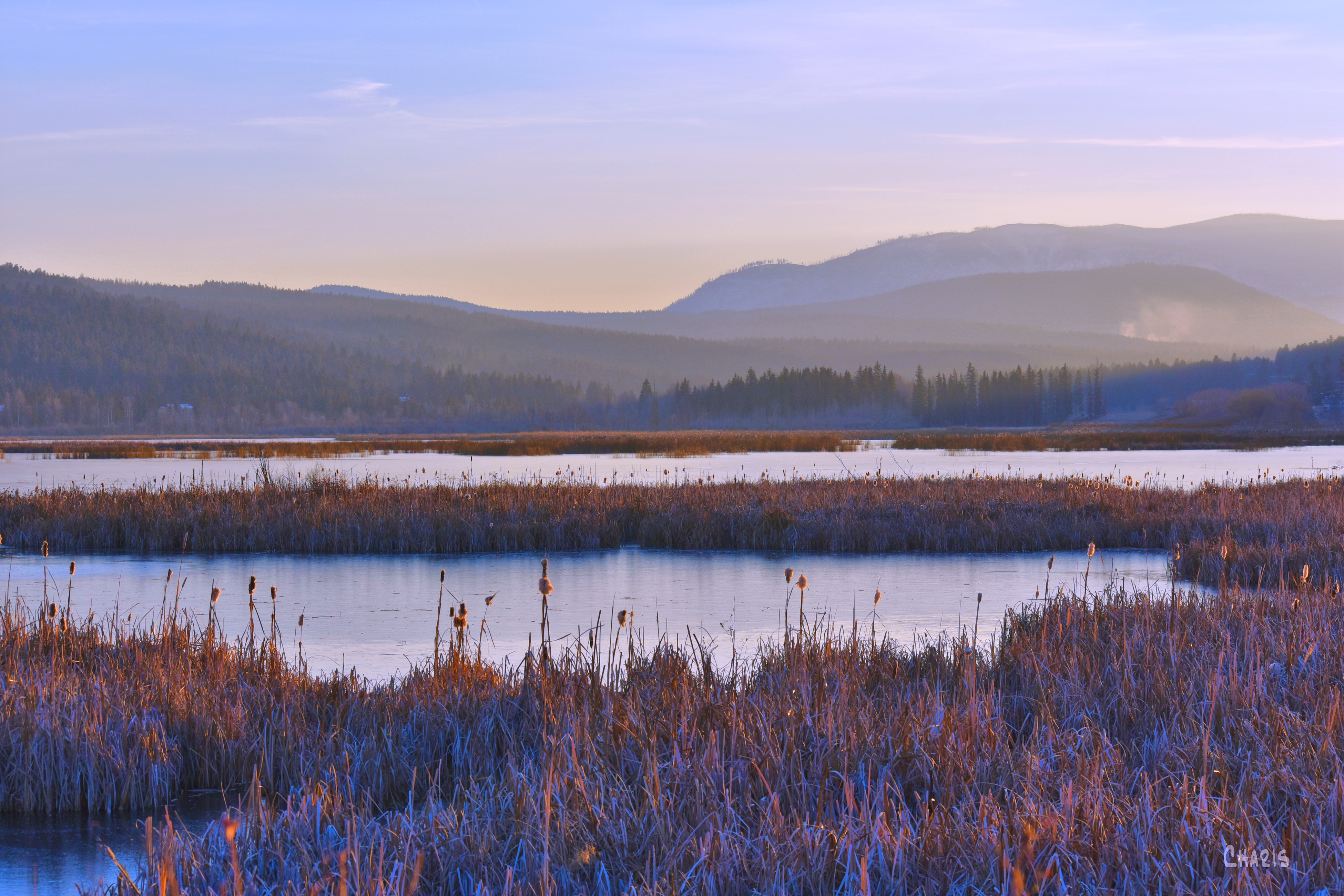 frozen pond liz lake ch rs DSC_0237