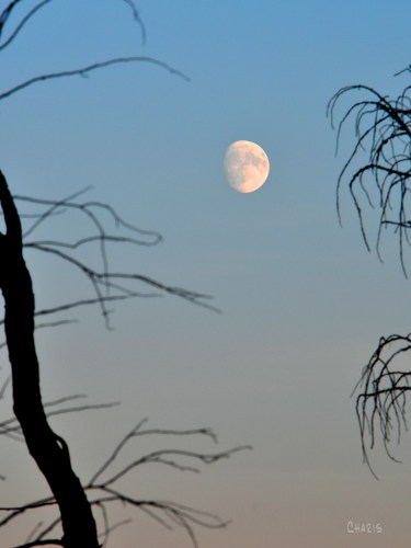 Moon in the afternoon ch rs DSC_0297