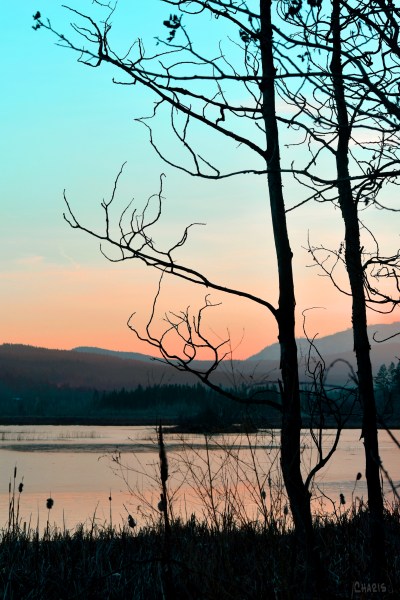 sunset liz lake frozen pond ch rs DSC_0265