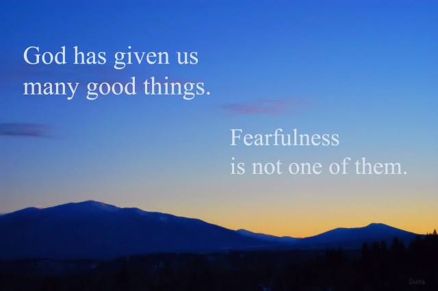 fearfulness poster mt baker sky ch