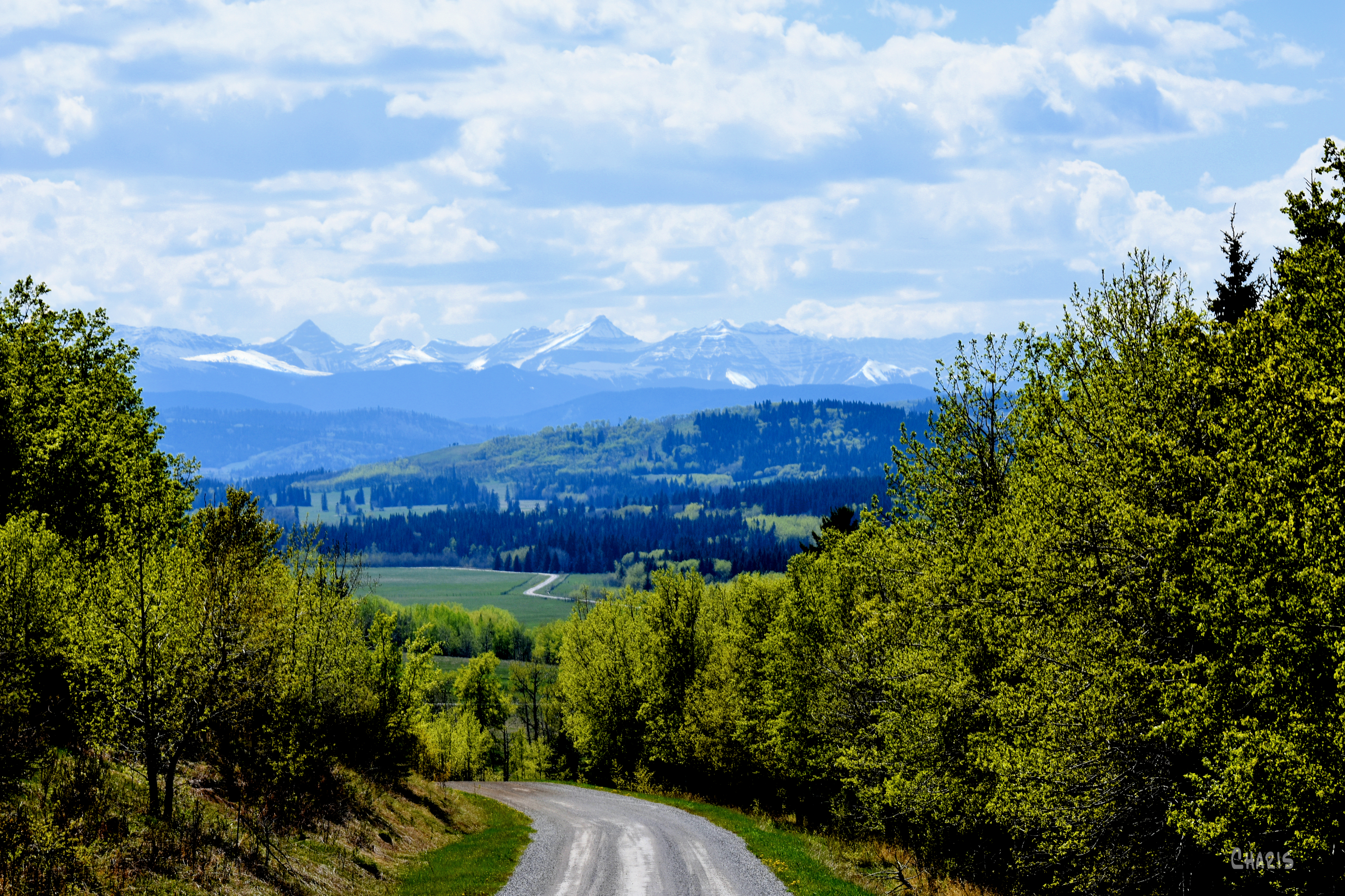 turner valley road spring ch rs DSC_0208