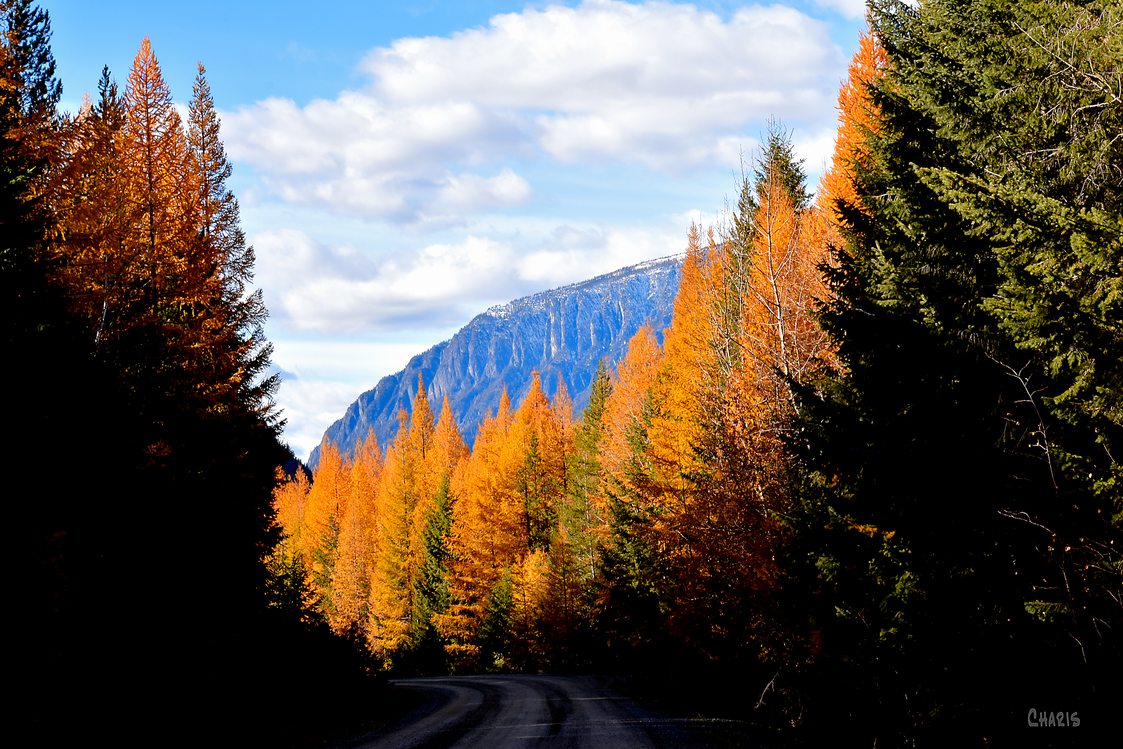 bootleg gap ch rs oct DSC_0767