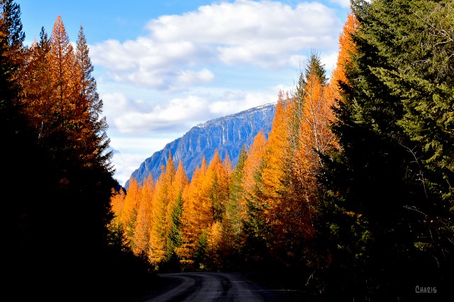 bootleg gap ch rs oct DSC_0767