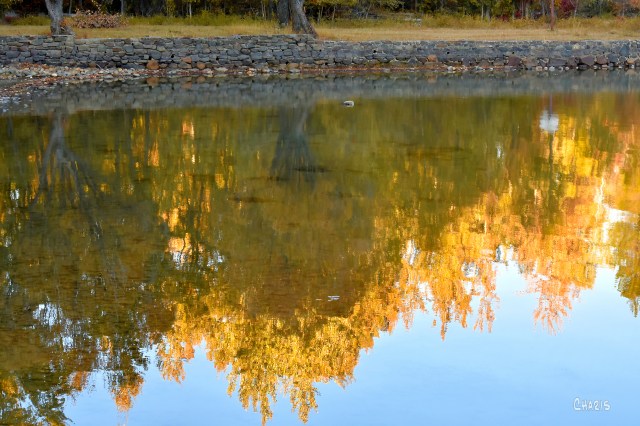Moyie stone wall reflection October ch rs DSC_0406