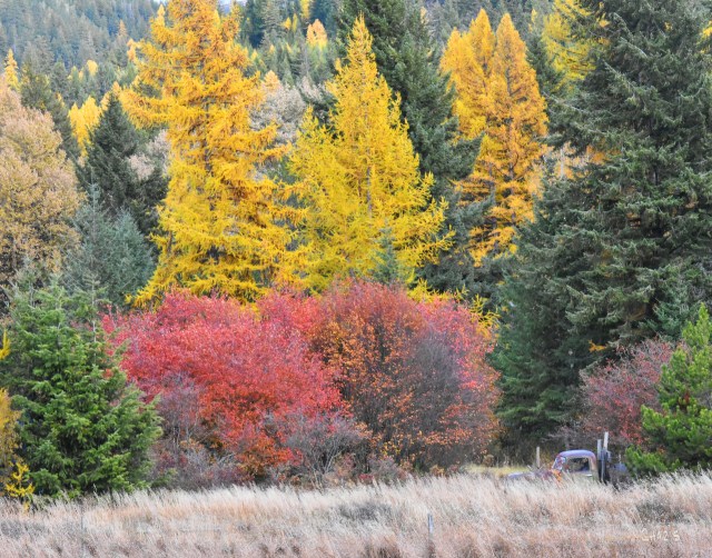 October colour truck ch rs DSC_0627