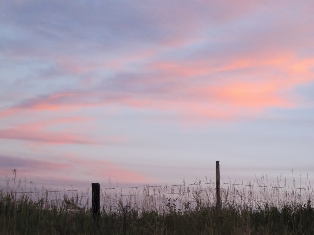 pink sky fence posts IMG_2147