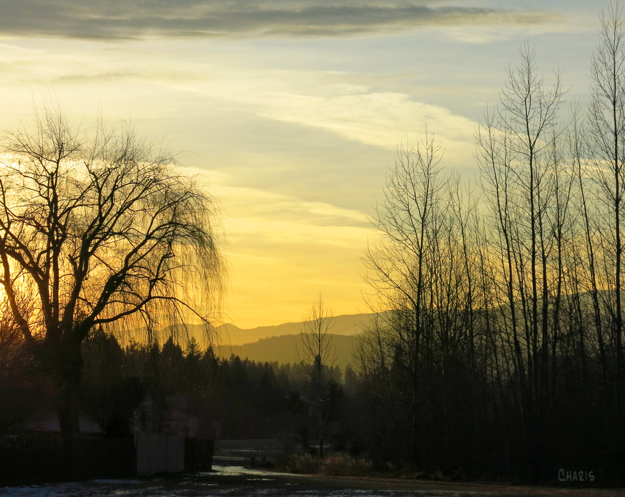 Greenbelt winter ch rs IMG_6597_edited-1