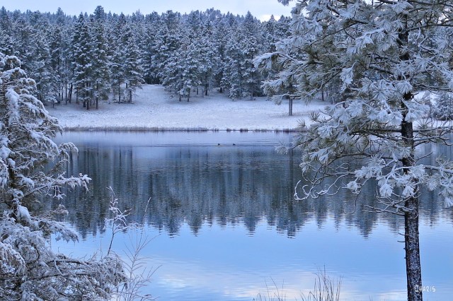 pond frost ch rs DSC_0627