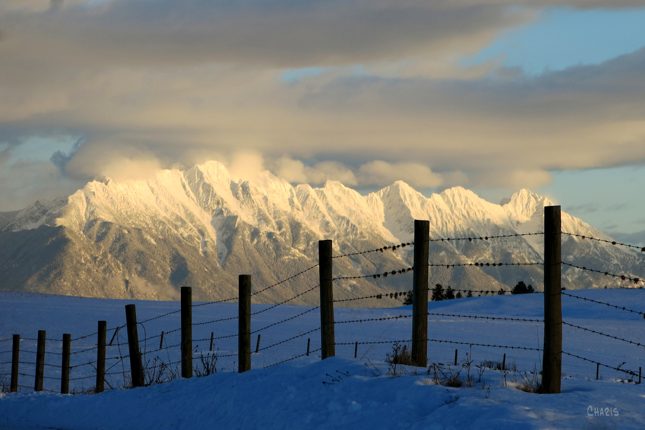 Steeple snow wire fence ch rs IMG_6382